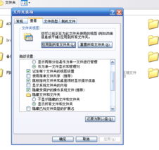 科汛CMS 一站式網站建設服務的專業之選